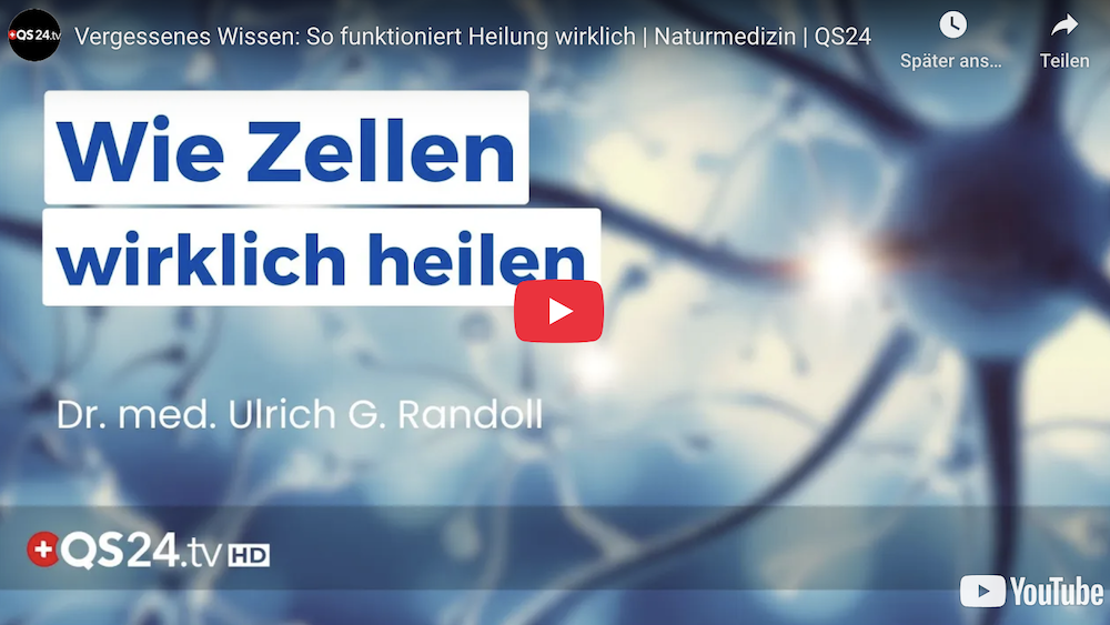 Interview auf Youtube